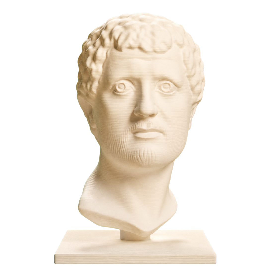 Portrait Head of a Man Ivory White collectible bust