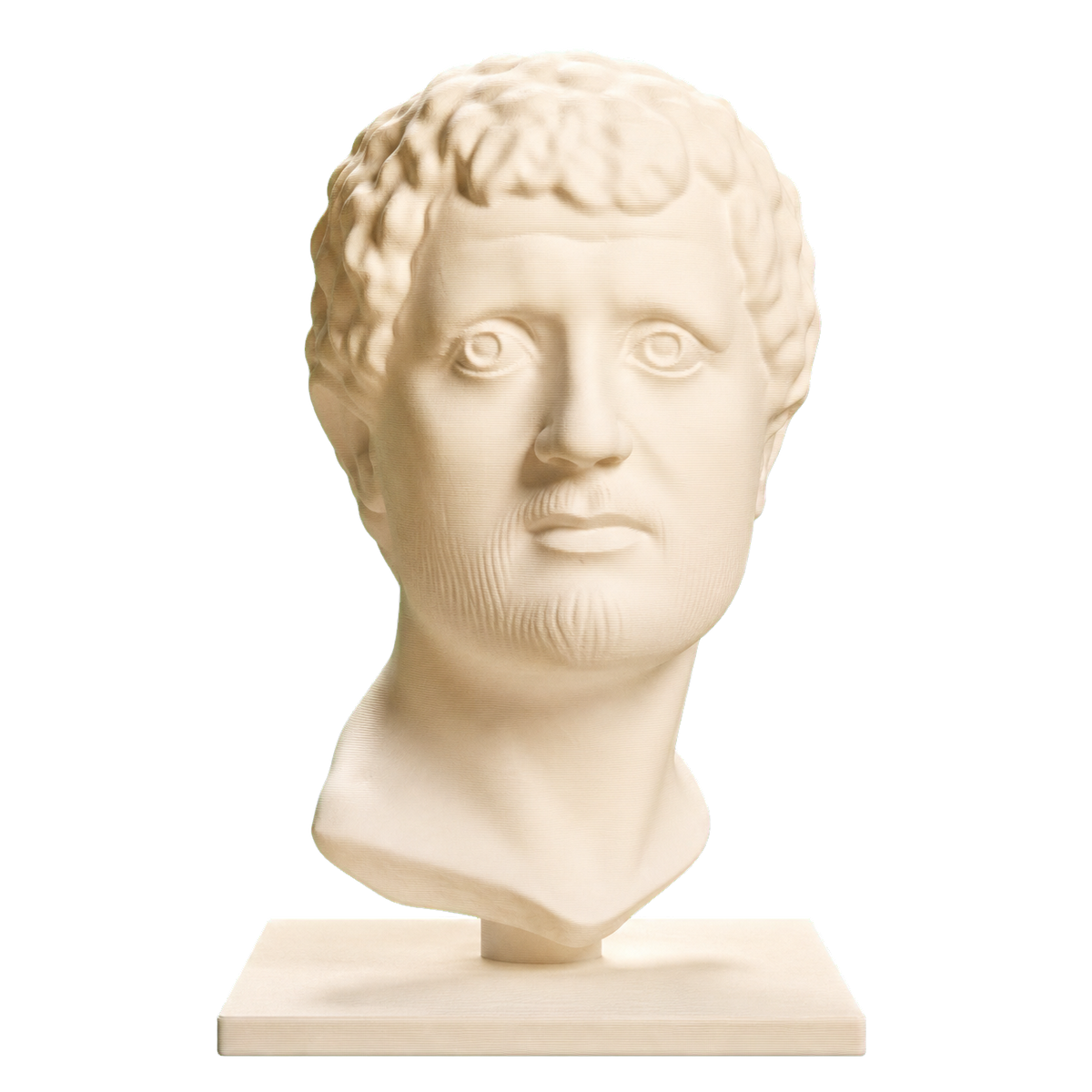 Portrait Head of a Man Ivory White collectible bust
