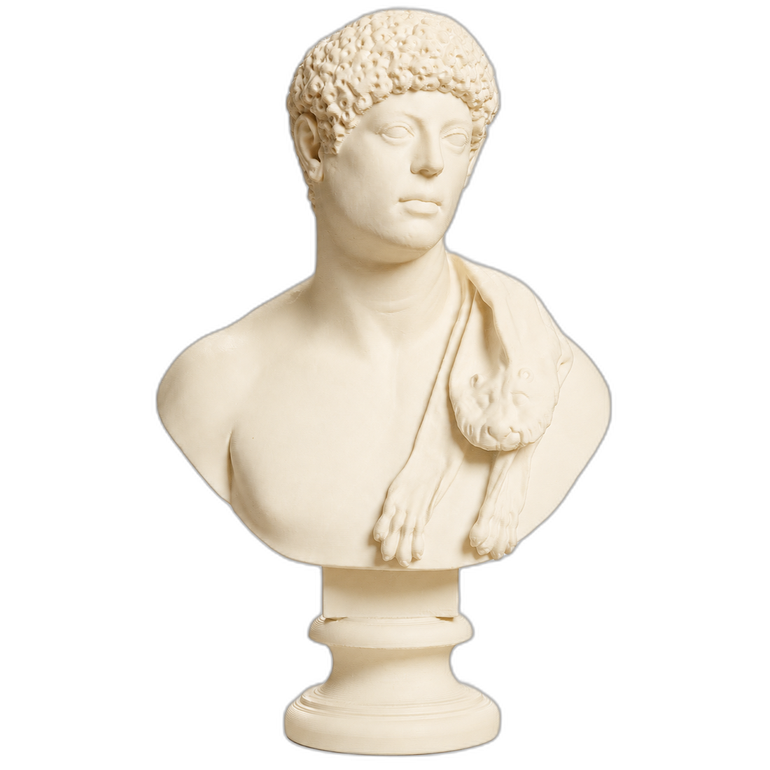 Portrait with panther skin over shoulder collectible bust inspired by museum-driven sculpture collecting