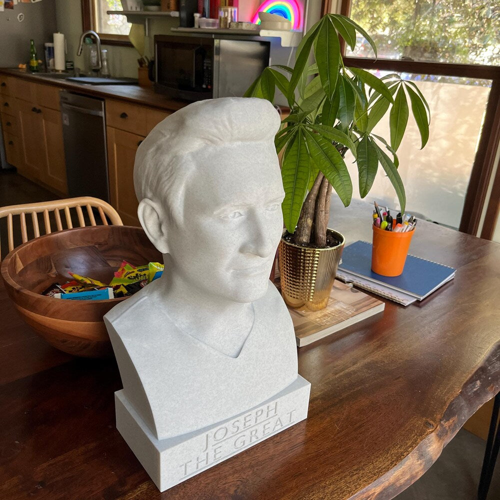 Custom Hand-Sculpted Photo Bust