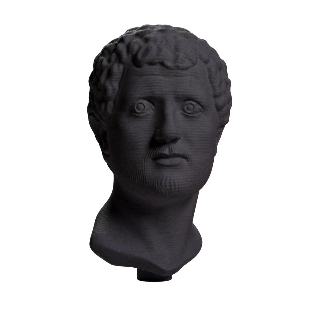 Portrait Head of a Man Charcoal Black collectible bust