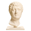 Portrait Head of a Man Ivory White collectible bust