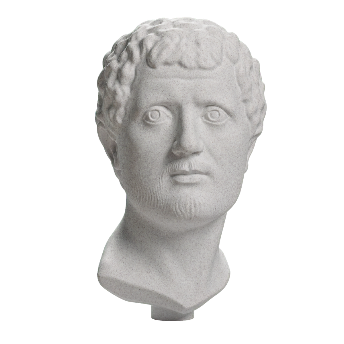 Portrait Head of a Man Marble Stone collectible bust