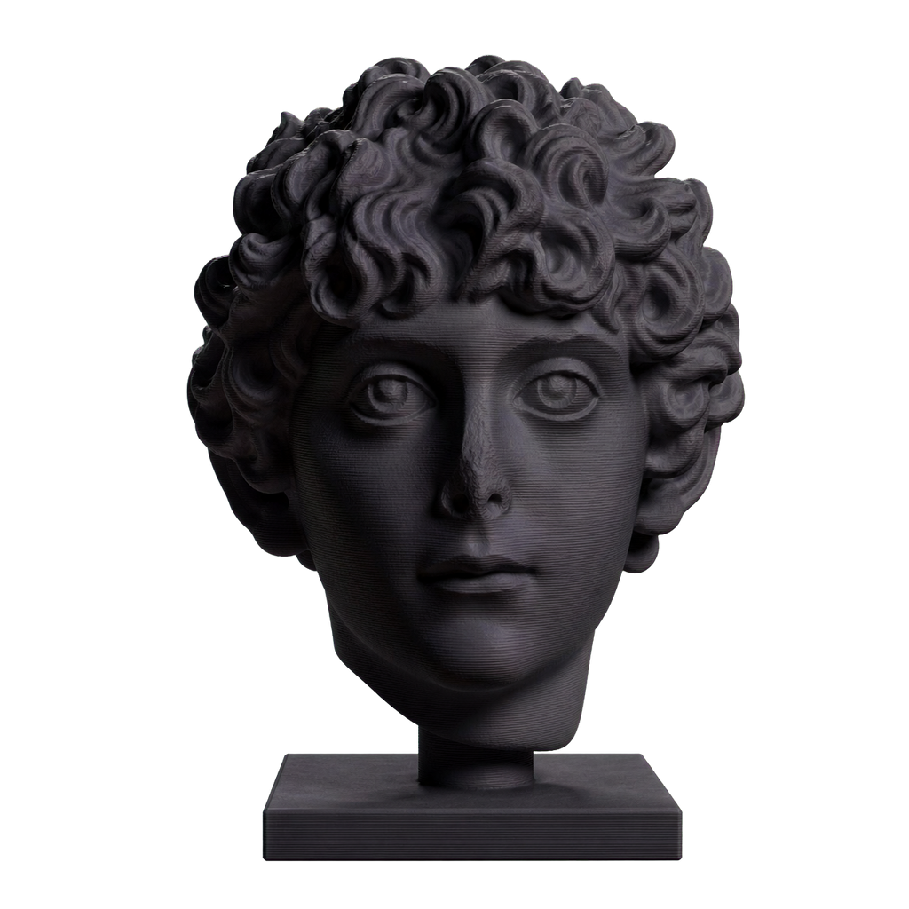 Head of a Roman Youth Charcoal Black collectible bust
