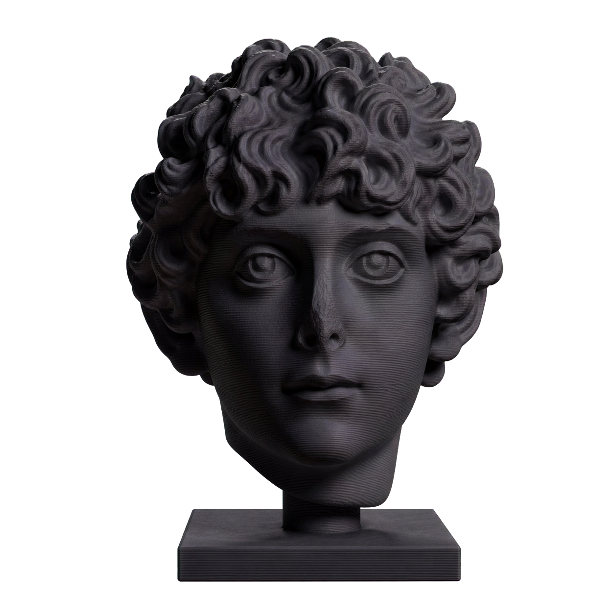 Head of a Roman Youth Charcoal Black collectible bust