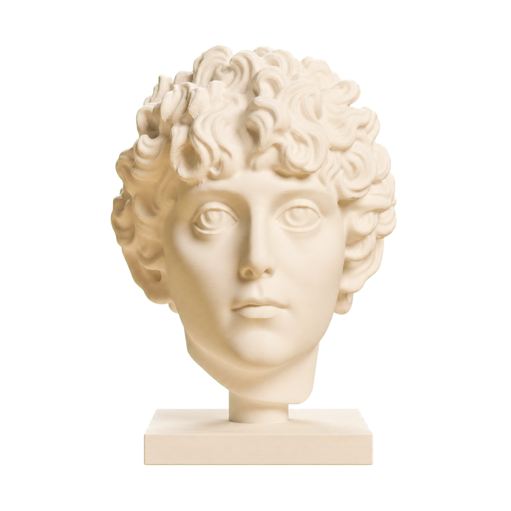 Head of a Roman Youth Ivory White collectible bust