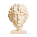 Head of a Roman Youth Ivory White collectible bust