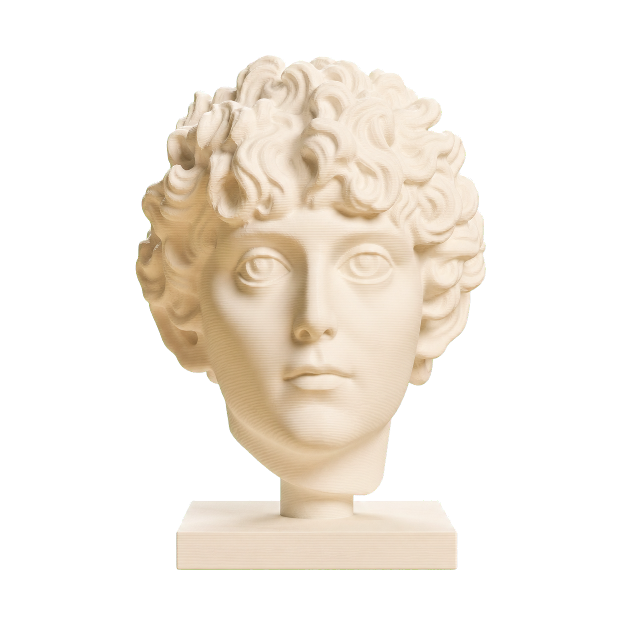 Head of a Roman Youth Ivory White collectible bust