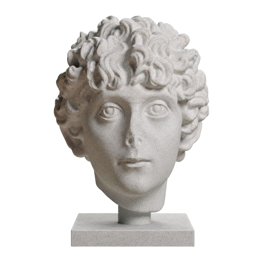 Head of a Roman Youth Marble Stone collectible bust