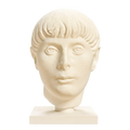 Head of a Young Man Ivory White collectible bust