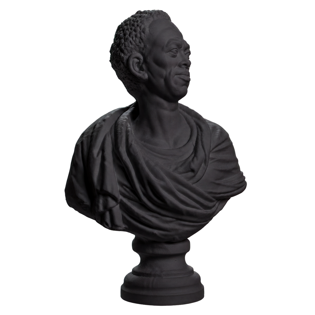 Bust of an African Man Charcoal Black collectible bust