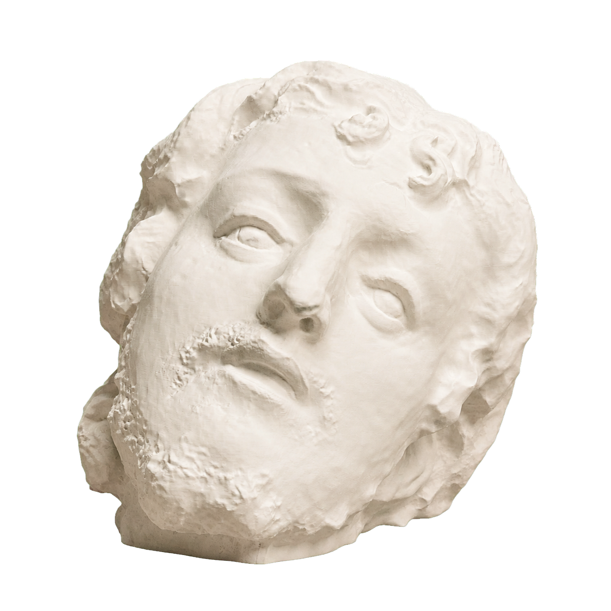 Head of Saint John the Baptist Ivory White collectible bust