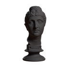 Bust of Faustina the Elder Charcoal Black collectible bust