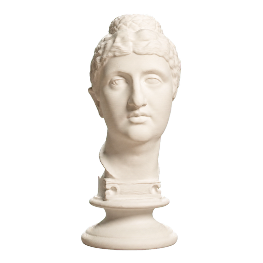 Bust of Faustina the Elder