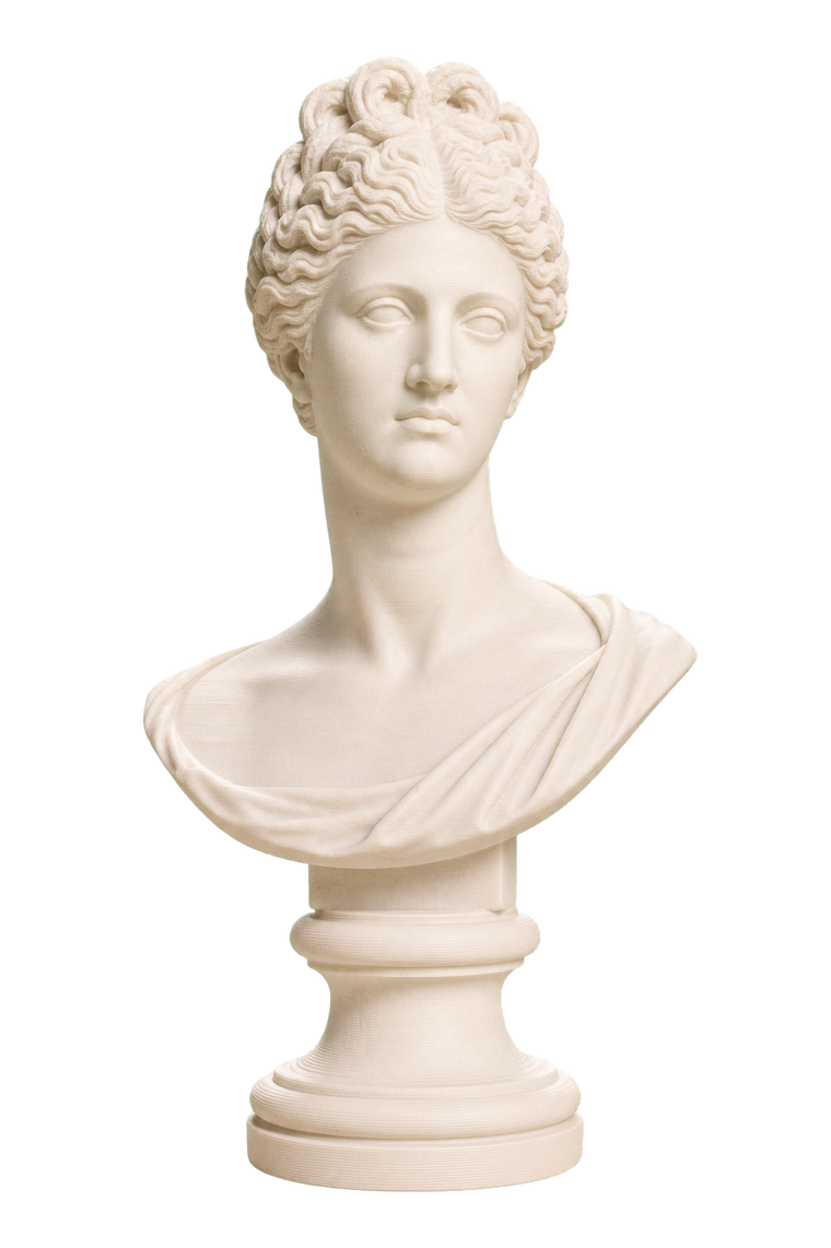Portrait Bust of a Flavian Woman, The Fonseca Bust
