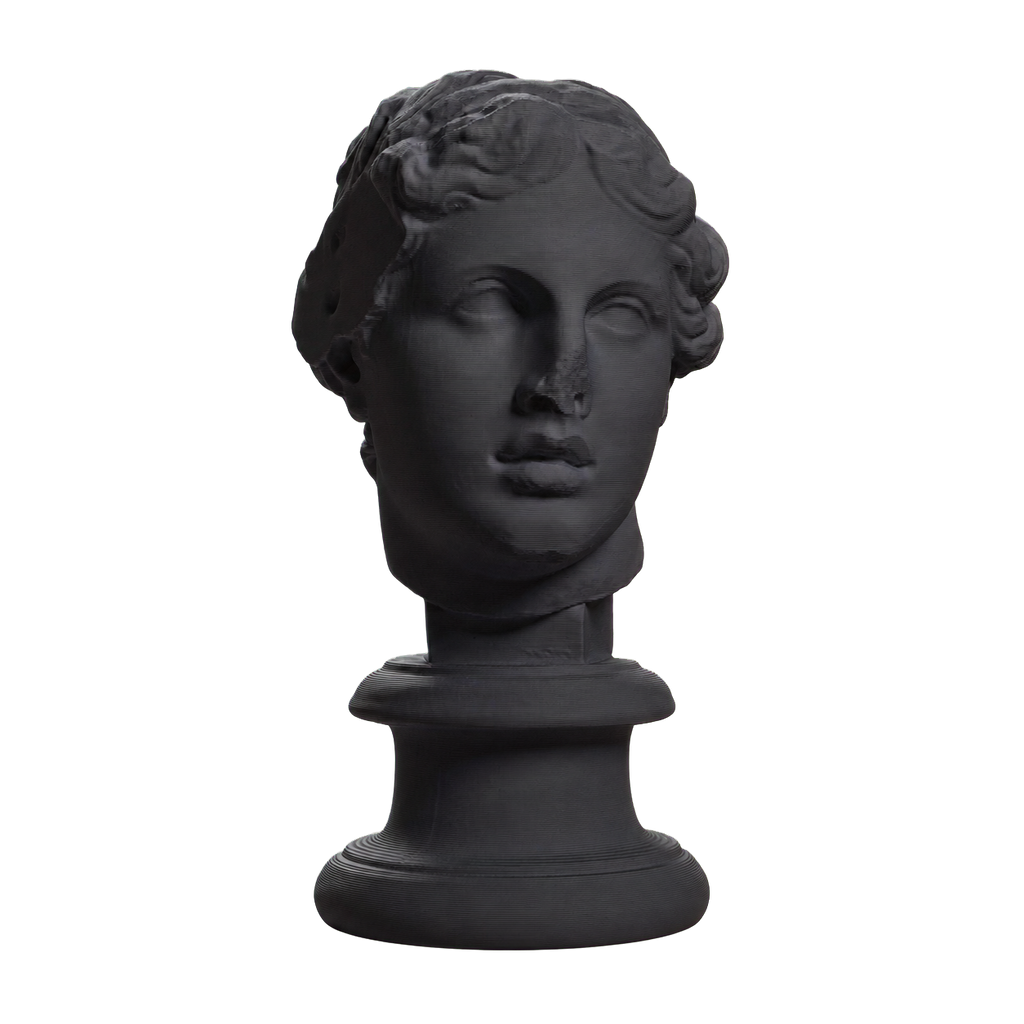 Portrait, 'The Beautiful Head' Charcoal Black collectible bust