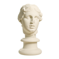 Portrait, 'The Beautiful Head' Ivory White collectible bust