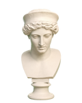 Head Ivory White collectible bust