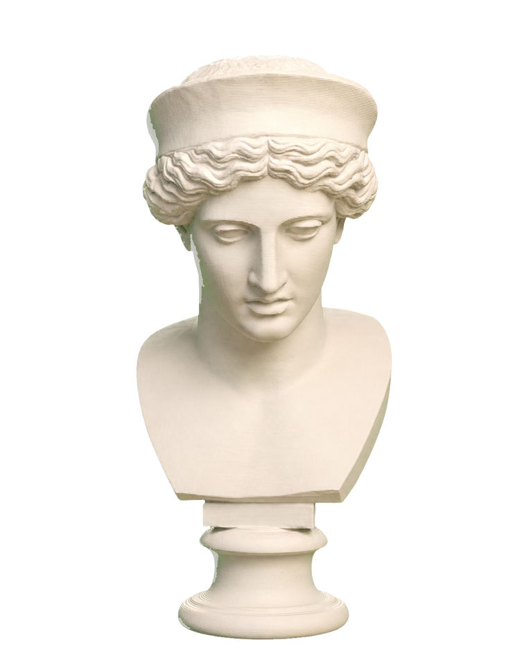 Head
