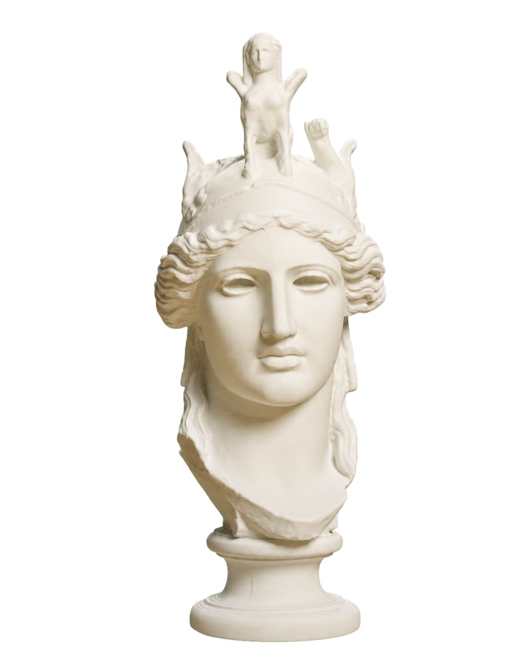 Head