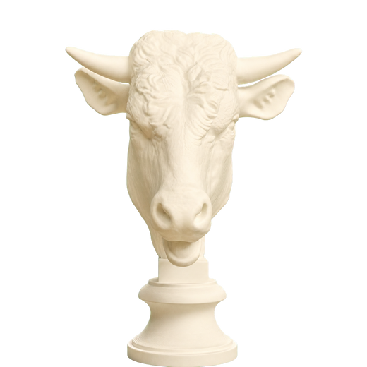 Head of a Bull