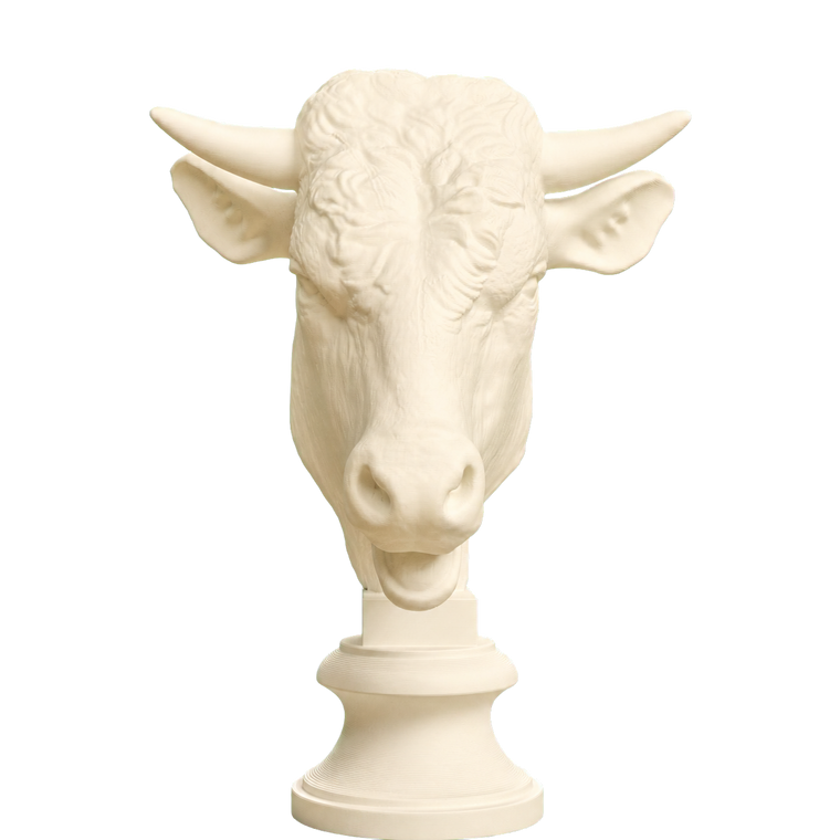 Head of a Bull