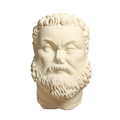 Head of Emperor Maximian Ivory White collectible bust