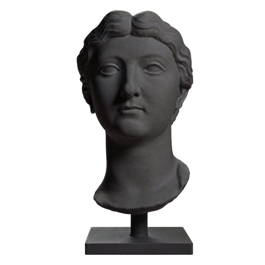 Livie Charcoal Black collectible bust