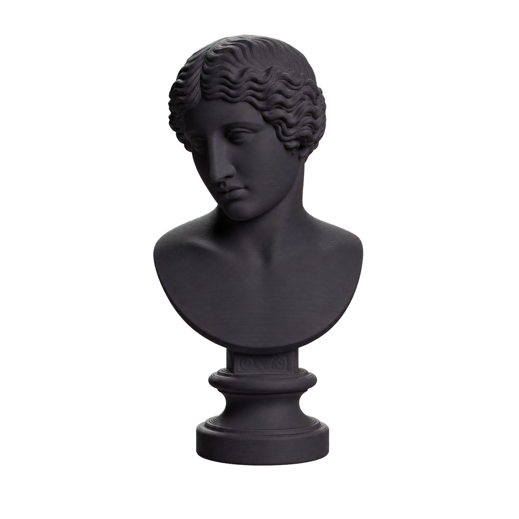 Head Charcoal Black collectible bust