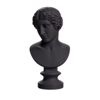 Head Charcoal Black collectible bust