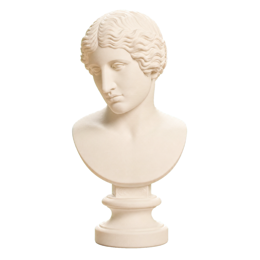 Head Ivory White collectible bust