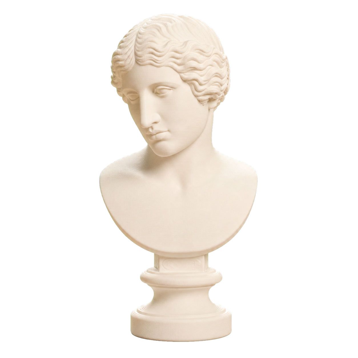 Head Ivory White collectible bust