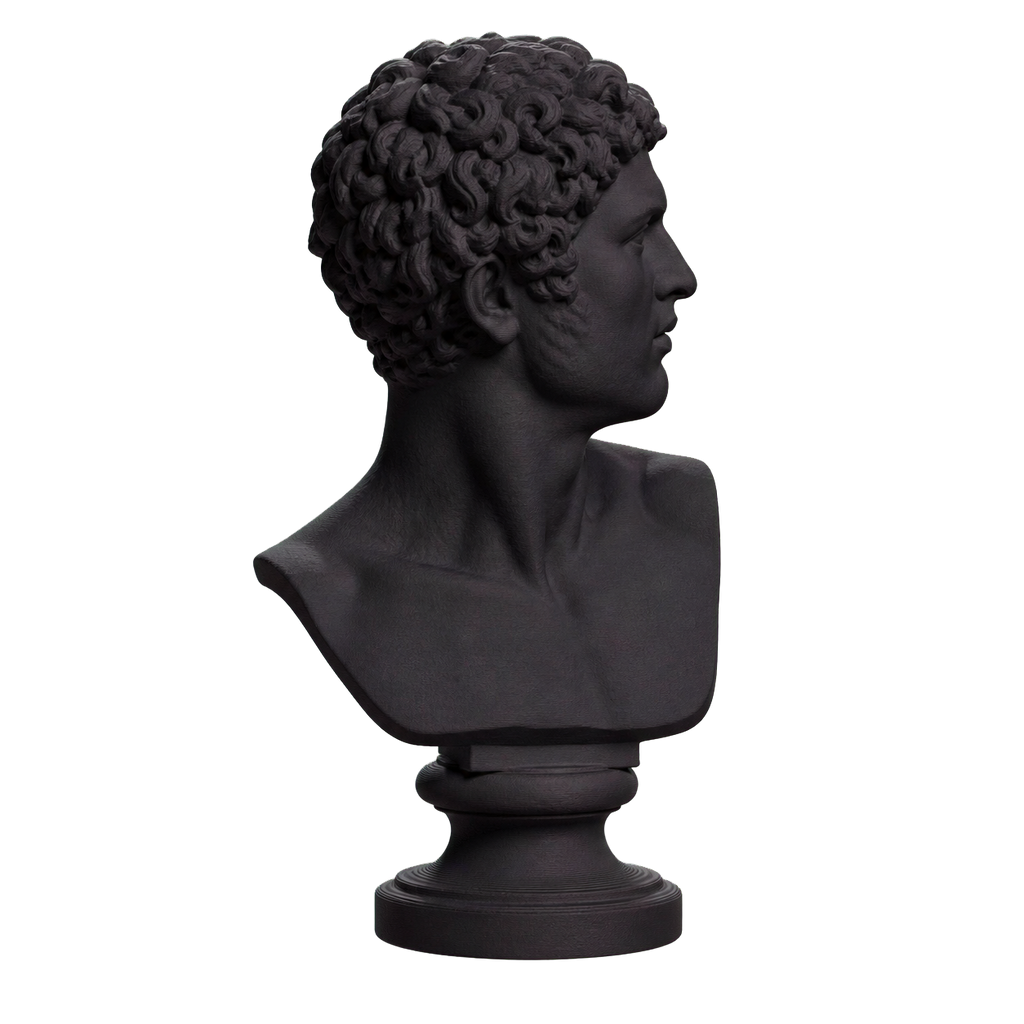 Head of a Man Charcoal Black collectible bust