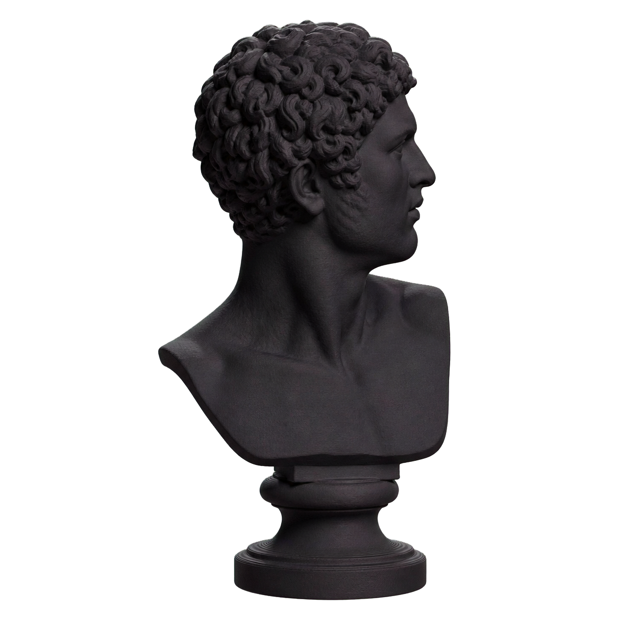 Head of a Man Charcoal Black collectible bust