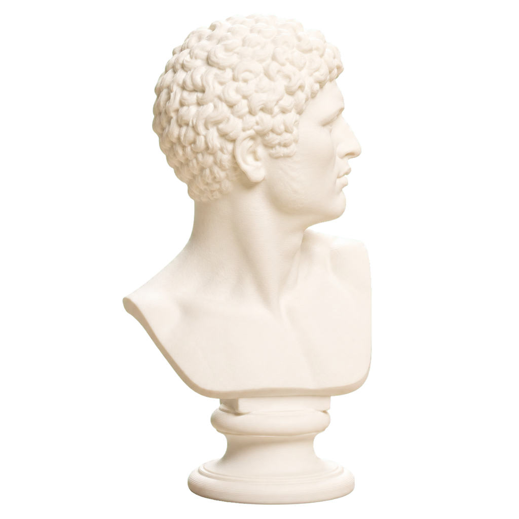 Head of a Man Ivory White collectible bust