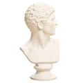 Head of a Man Ivory White collectible bust