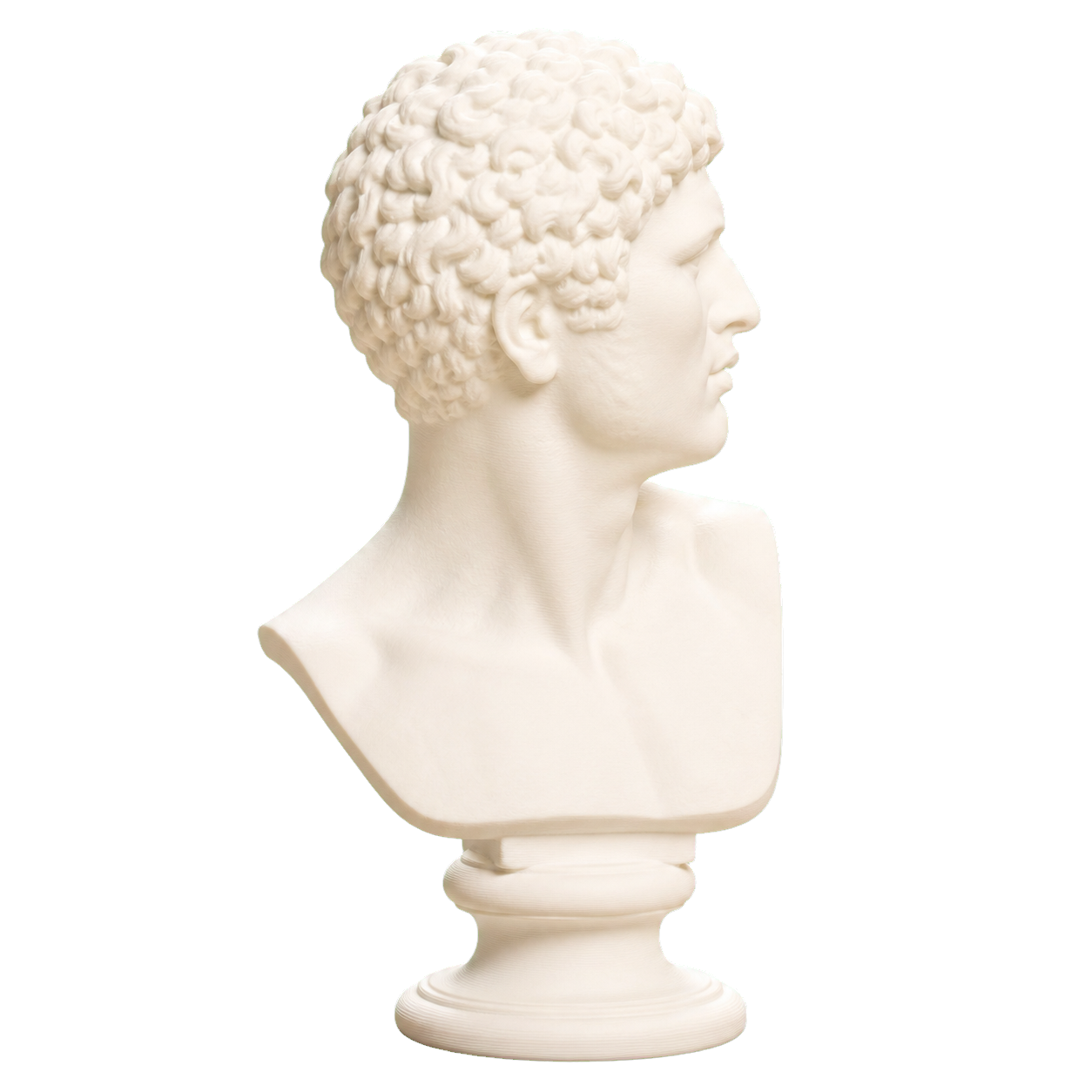 Head of a Man Ivory White collectible bust