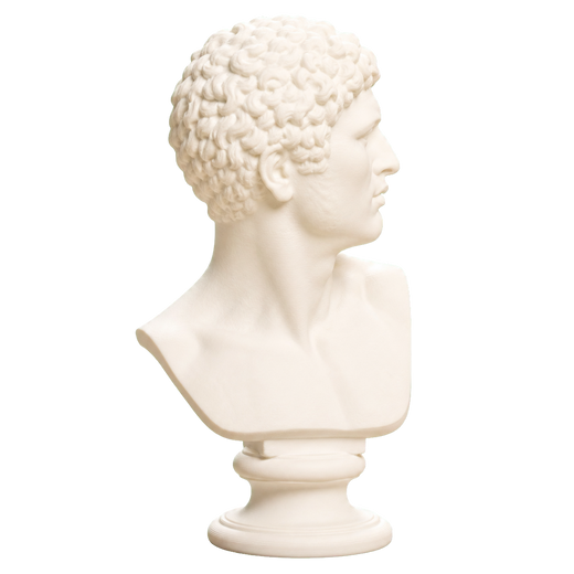 Head of a Man
