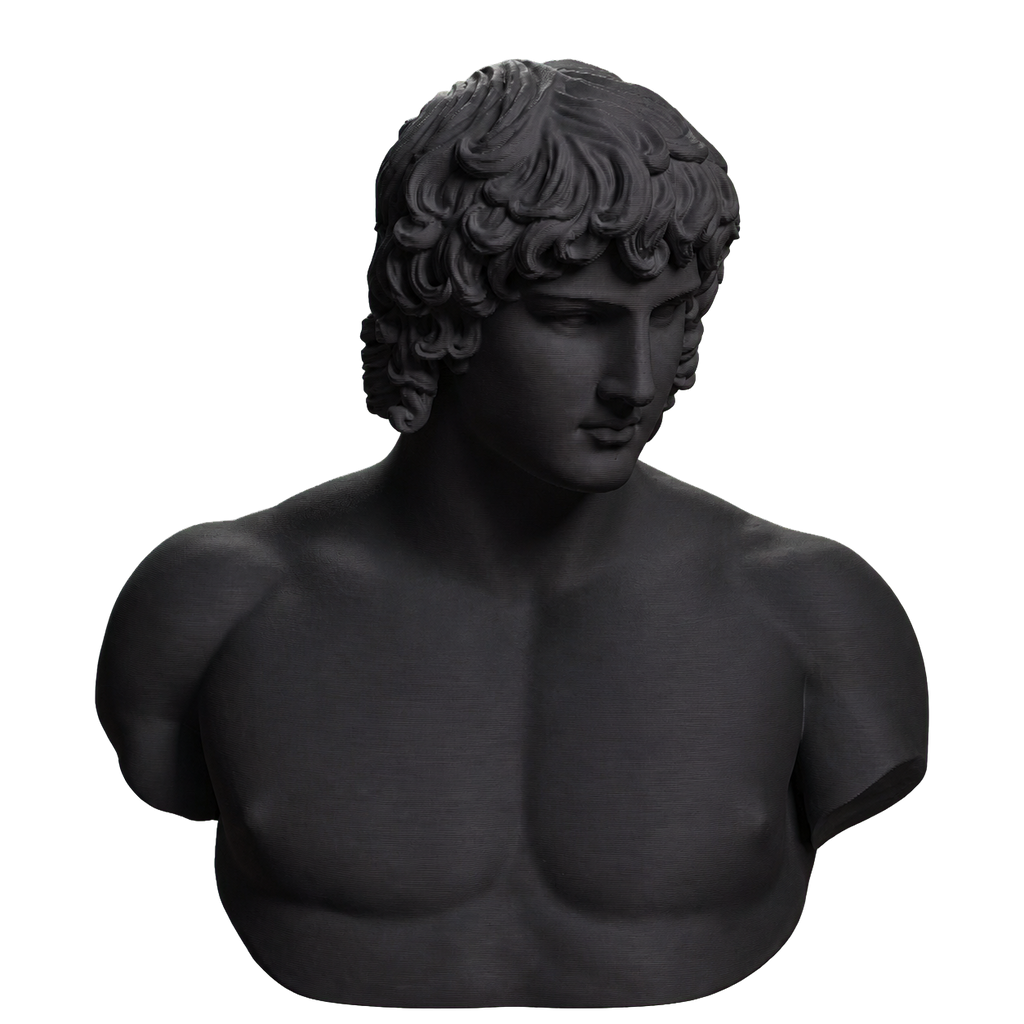 Portrait of Antinous Charcoal Black collectible bust