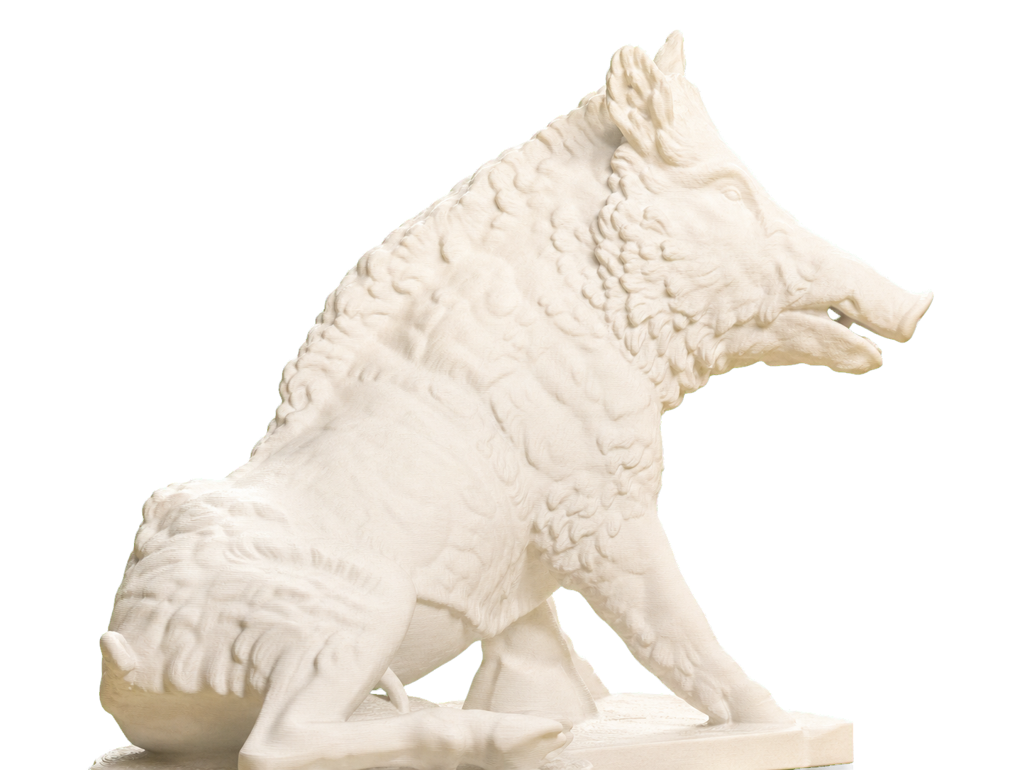 The Wild Boar Porcellino Ivory White collectible bust