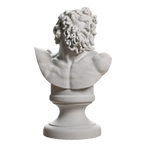 Bust of Laocoon Marble Stone collectible bust