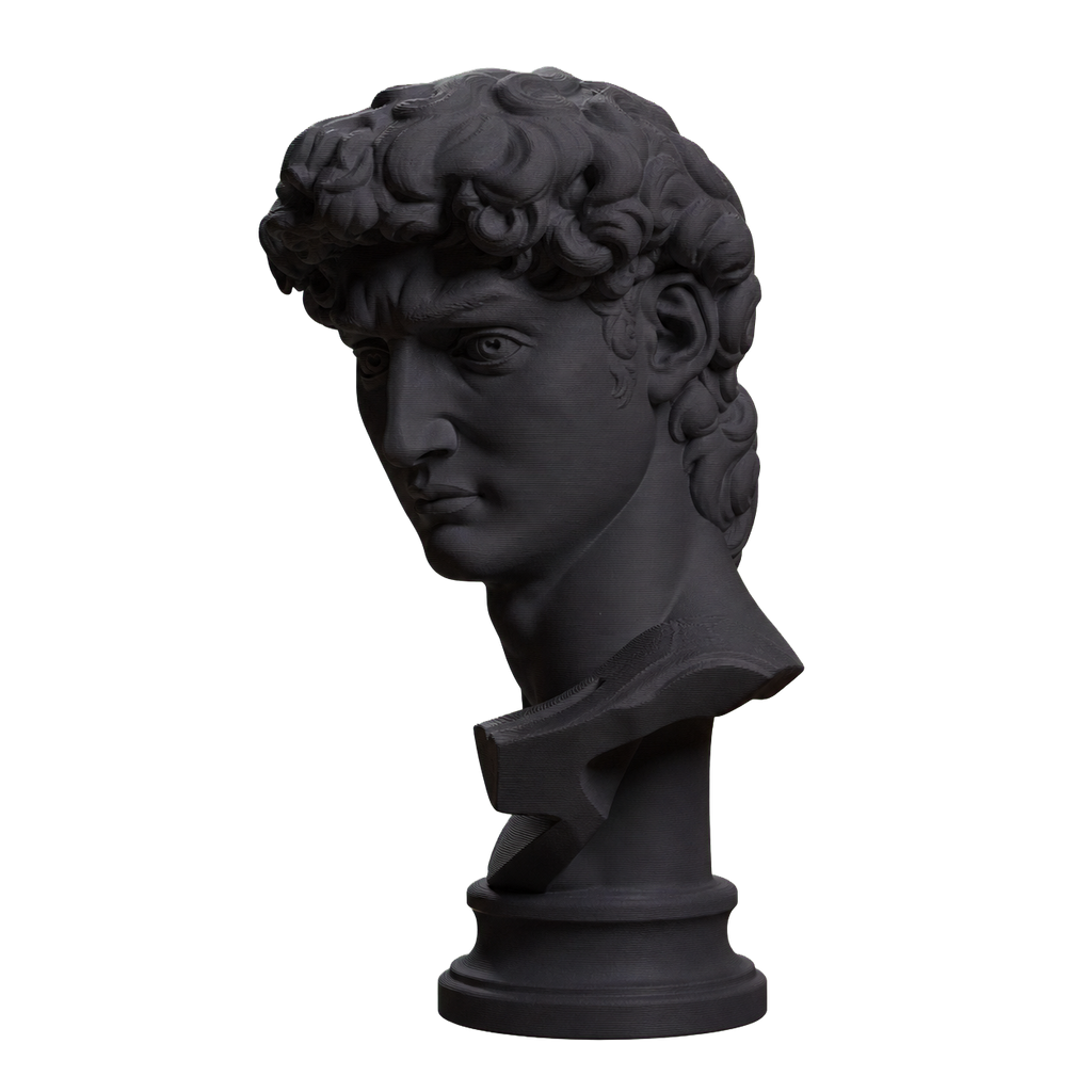 Head of Michelangelo's David Charcoal Black collectible bust