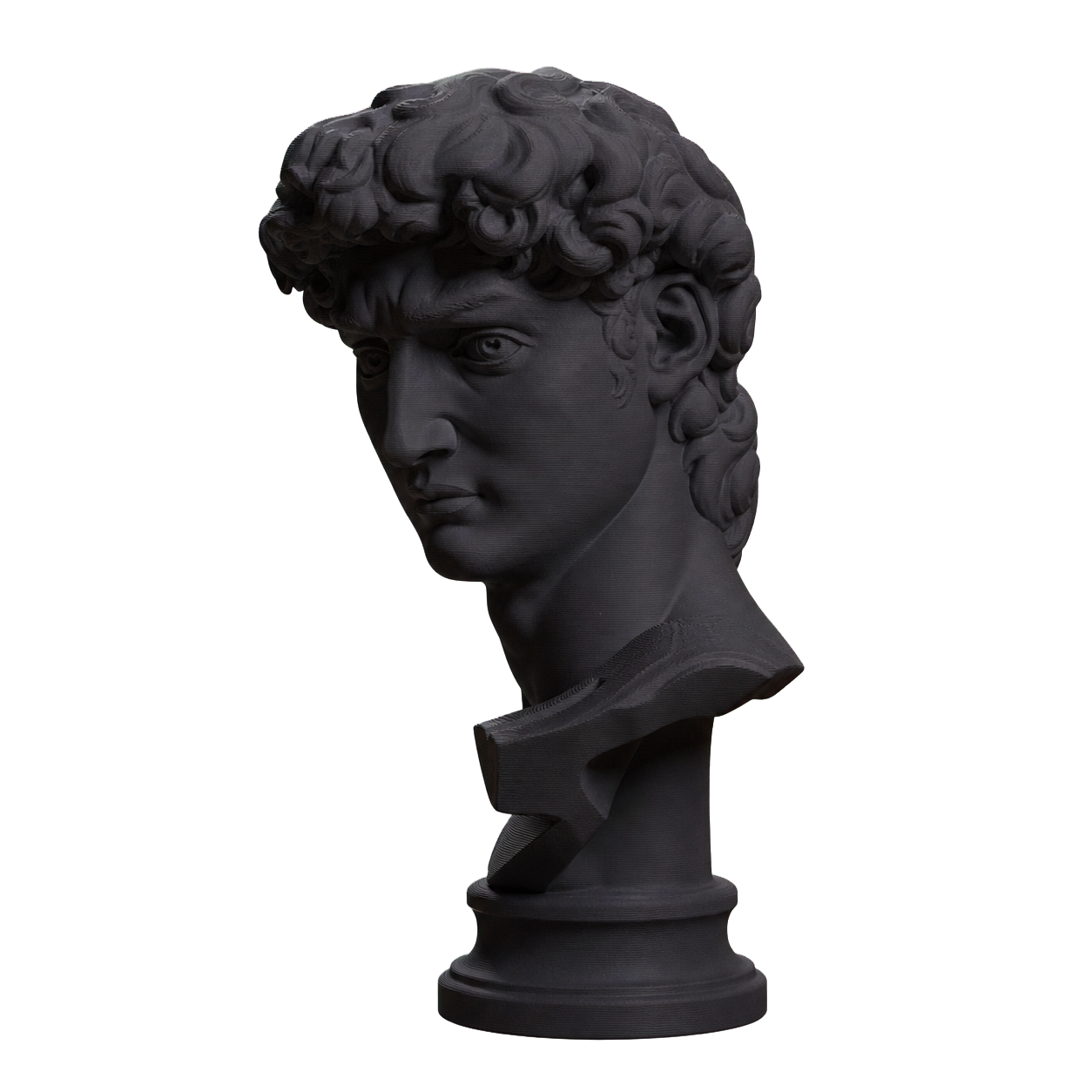 Head of Michelangelo's David Charcoal Black collectible bust