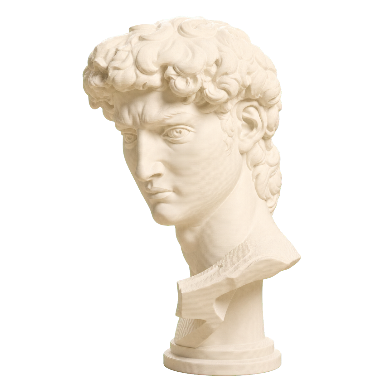 Head of Michelangelo's David Ivory White collectible bust