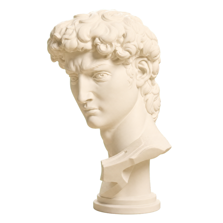 Head of Michelangelo's David