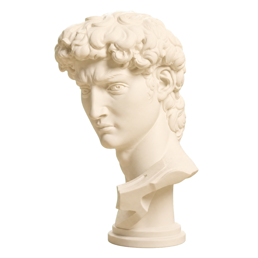 Head of Michelangelo's David Ivory White collectible bust
