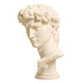 Head of Michelangelo's David Ivory White collectible bust