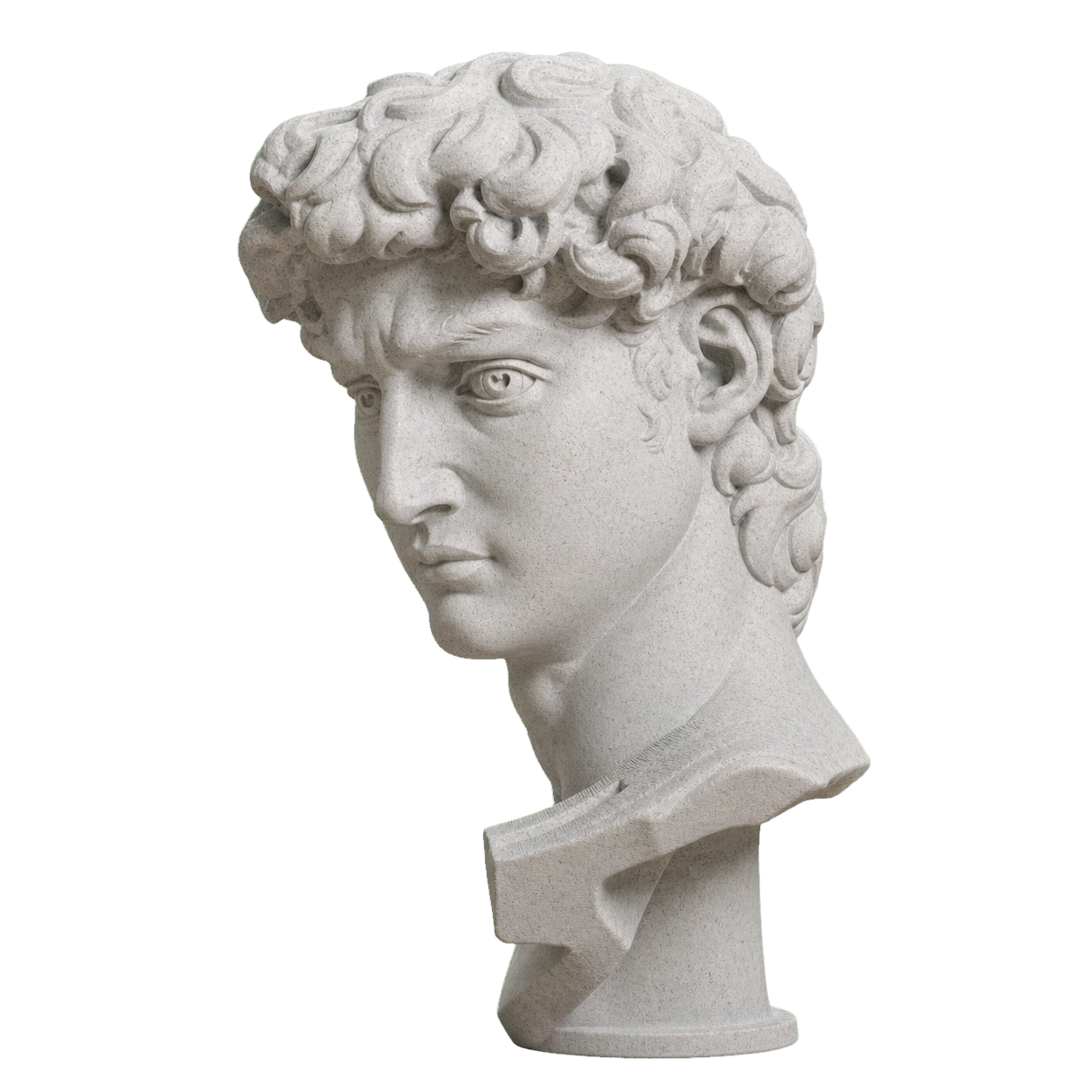 Head of Michelangelo's David Marble Stone collectible bust