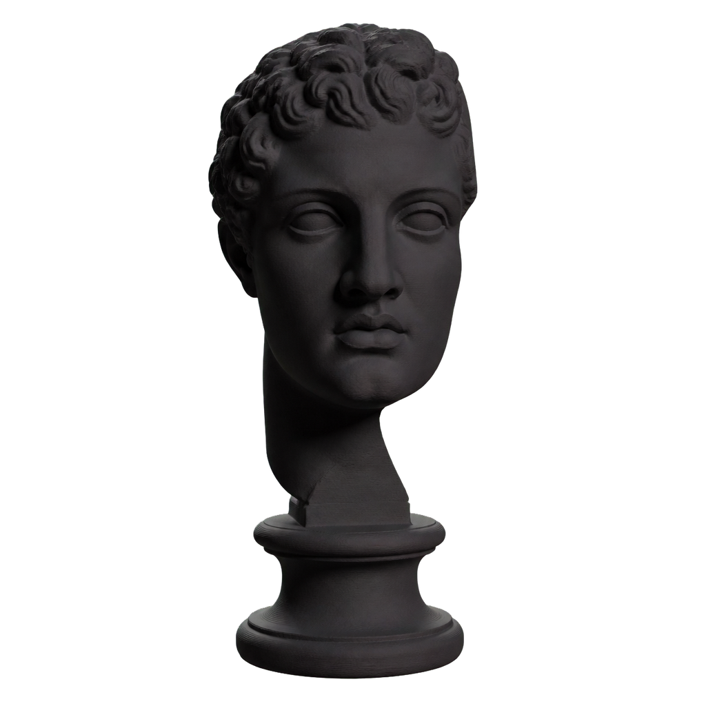 Fragmentary head of Hercules (from the Lansdowne Herakles) Charcoal Black collectible bust
