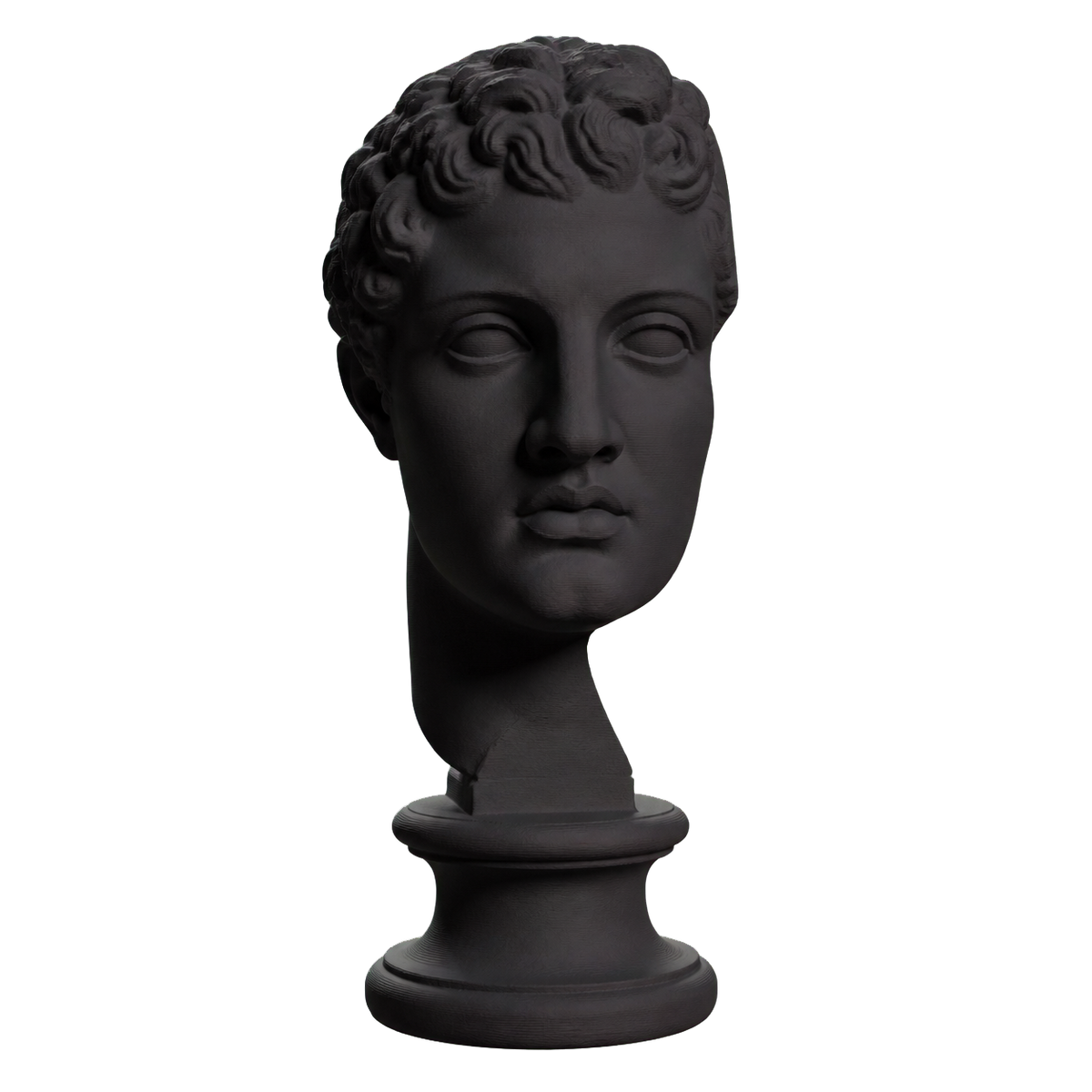 Fragmentary head of Hercules (from the Lansdowne Herakles) Charcoal Black collectible bust